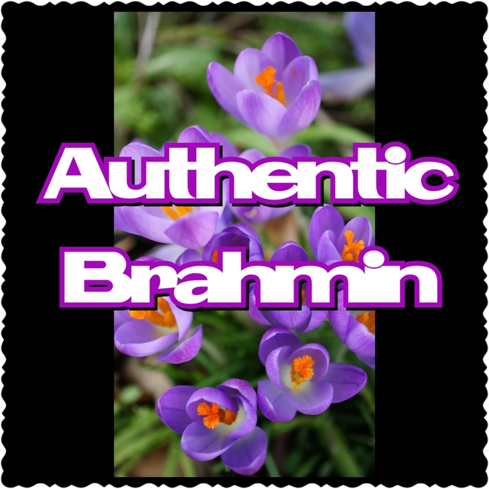 ///SOLD/// (((Authentic))) Brahmin Shoulder Bag
